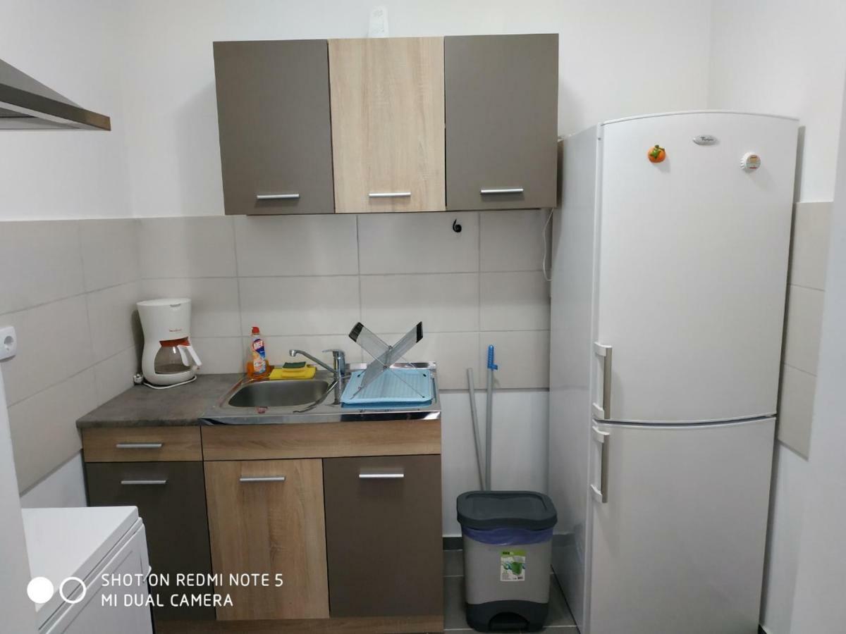 Apartment Jelena ズレニャニン エクステリア 写真
